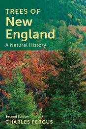 Trees of New England - 1 Jul 2025