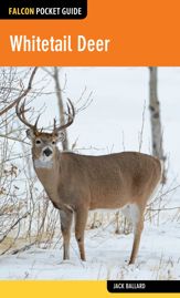 Whitetail Deer - 15 Oct 2016