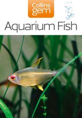 Aquarium Fish - 24 May 2012