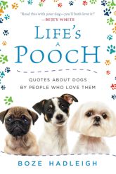 Life's a Pooch - 21 Nov 2017