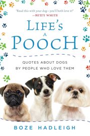 Life's a Pooch - 21 Nov 2017