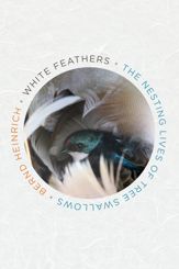 White Feathers - 18 Feb 2020