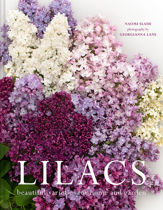 Lilacs - 3 Oct 2022