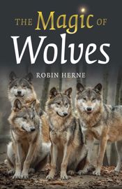 The Magic of Wolves - 23 Feb 2024