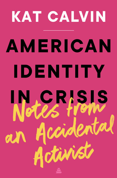 American Identity in Crisis: Notes from an Accidental Activist