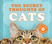 The Secret Thoughts of Cats - 16 Nov 2021