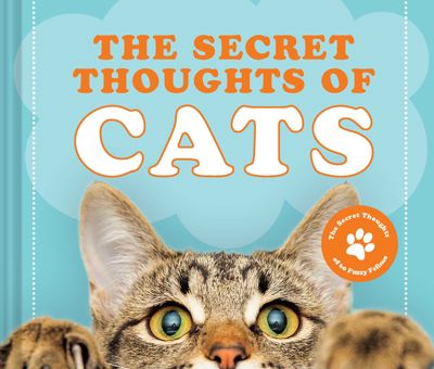 The Secret Thoughts of Cats