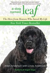 Dog Named Leaf - 6 Nov 2012