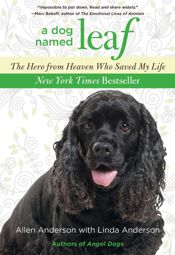 Dog Named Leaf - 6 Nov 2012
