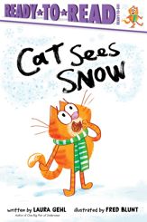 Cat Sees Snow - 29 Aug 2023