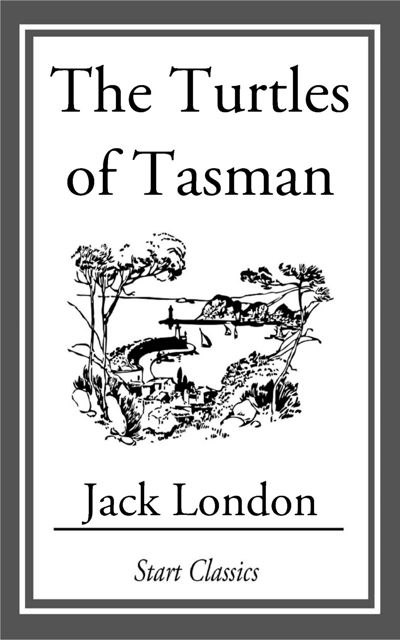 The Turtles of Tasman