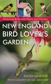 New England Bird Lover's Garden - 15 Mar 2016