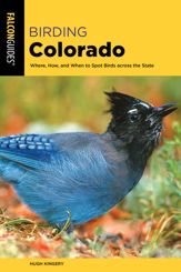 Birding Colorado - 15 May 2023