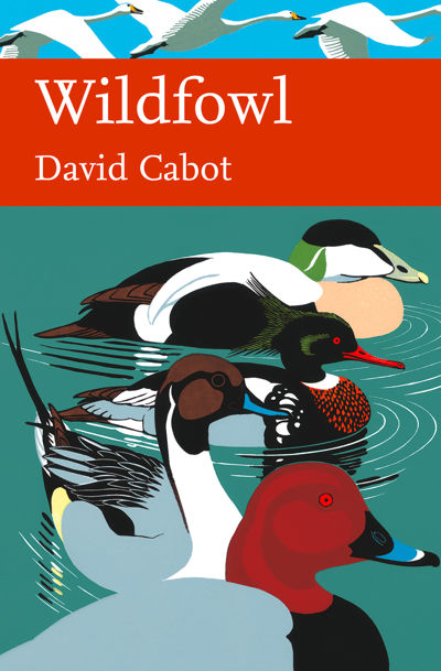 Wildfowl