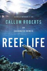 Reef Life - 3 Mar 2020
