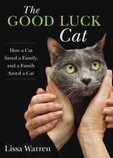 Good Luck Cat - 7 Oct 2014