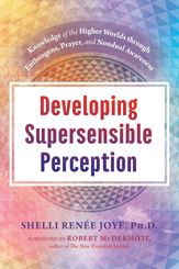 Developing Supersensible Perception - 6 Aug 2019