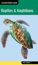 Reptiles & Amphibians - 14 Jan 2014