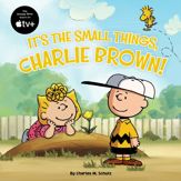 It's the Small Things, Charlie Brown! - 19 Mar 2024