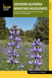 Southern California Mountains Wildflowers - 1 Oct 2016