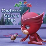 Owlette Gets a Pet - 12 Dec 2017