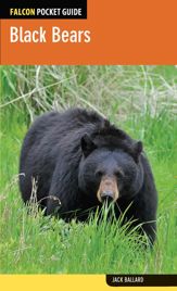 Black Bears - 1 Oct 2013
