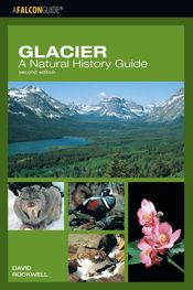 Glacier: A Natural History Guide - 12 Dec 2023