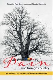 Pain is a Foreign Country - 7 Jul 2026