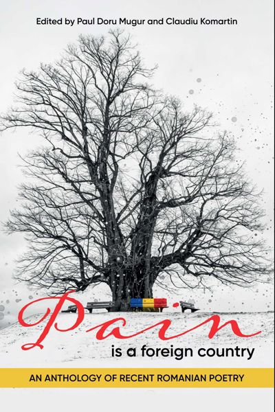Pain is a Foreign Country