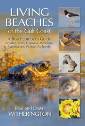 Living Beaches of the Gulf Coast - 1 Dec 2022
