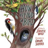 How to Find a Bird - 4 Aug 2020