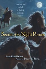 Secret of the Night Ponies - 20 Oct 2009