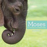 Moses - 26 Aug 2014