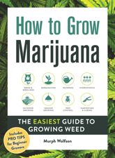 How to Grow Marijuana - 7 Jan 2020
