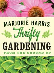 Thrifty Gardening - 3 Mar 2012