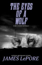 Eyes of a Wolf - 28 Feb 2017