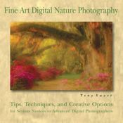 Fine Art Digital Nature Photography - 8 Jan 2009