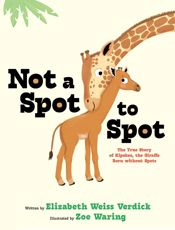 Not a Spot to Spot - 22 Jul 2025