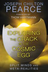 Exploring the Crack in the Cosmic Egg - 15 Feb 2014