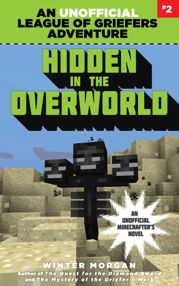 Hidden in the Overworld - 12 May 2015