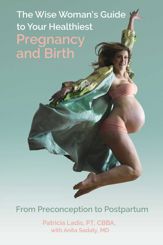 The Wise Woman's Guide to Your Healthiest Pregnancy and Birth - 5 Jan 2021