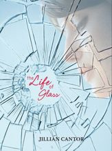 The Life of Glass - 9 Feb 2010