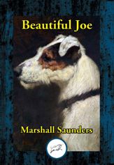 Beautiful Joe - 26 Mar 2017