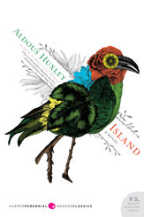 Island - 5 Jan 2010