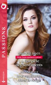 La tempête des sentiments - Une rencontre dans la neige - 1 Dec 2020
