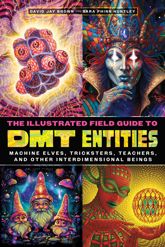 The Illustrated Field Guide to DMT Entities - 25 Feb 2025