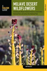 Mojave Desert Wildflowers - 5 Mar 2013