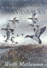 Big December Canvasbacks, Revised - 29 Feb 2000