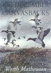 Big December Canvasbacks, Revised - 29 Feb 2000