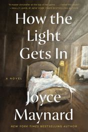 How the Light Gets In - 25 Jun 2024